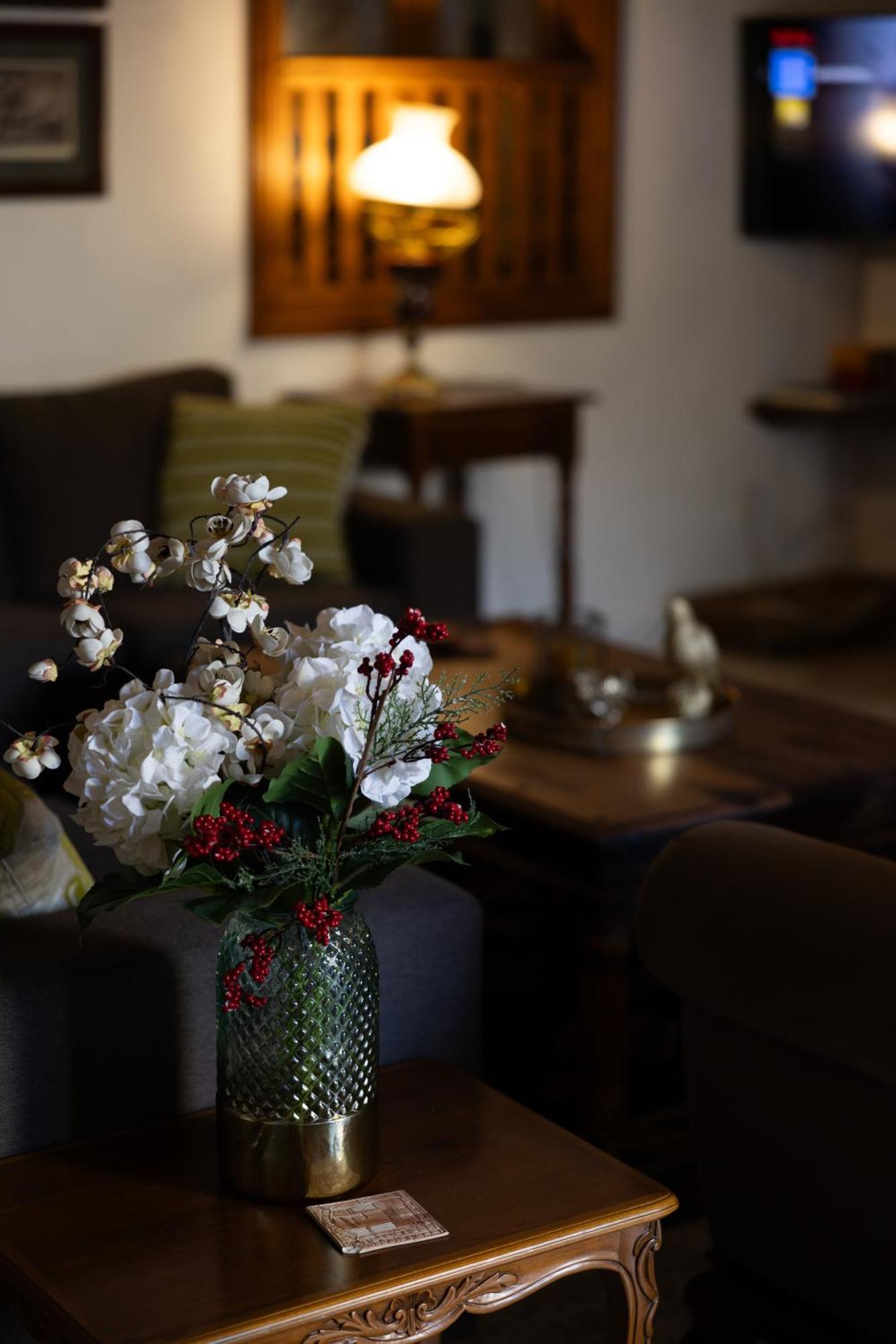Apanemia Inn House 洛弗 外观 照片